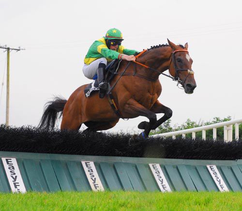 Captain Luke jumps the last under Alain Cawley