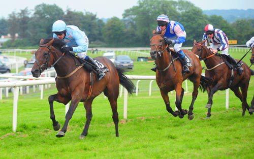 Roisin Dubh leads Jabus and Bonobo home in the bumper