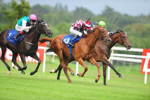 What Style, centre, battles on to <br> win at Leopardstown