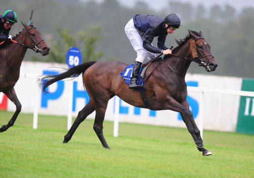 Circle approaches the winning <br> post at Leopardstown 