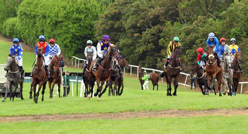 Number 11 Paddys Pride played up at the start and had to be withdrawn