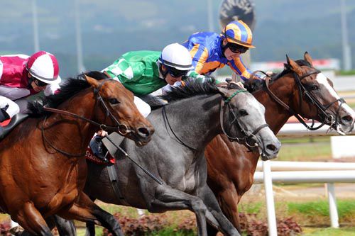 Yulong Baoju (grey) just prevails at Dundalk