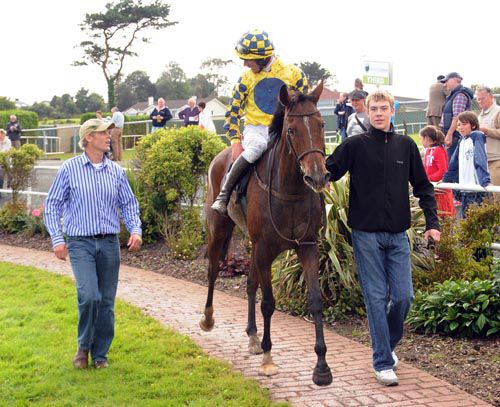 Bangonform and connections