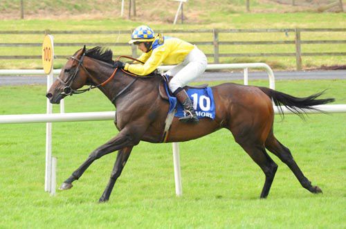 Great Oak and Adrienne Foley clear at Tramore