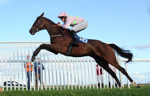 Tarla in full flight at Roscommon under Emmet Mullins
