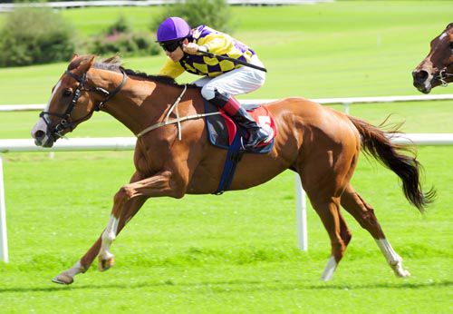 Fluidity opens up a lead at Gowran Park
