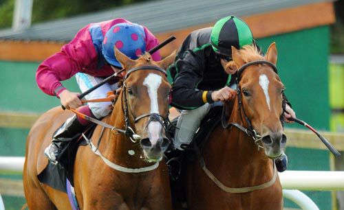 Approval Given (left) and Wholelotofrosie locked together