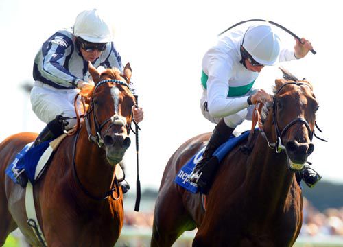 Main Sequence (left) is just beaten by Thought Worthy at York last month