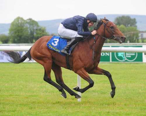 Line Drummer & Joseph O'Brien on their way to victory