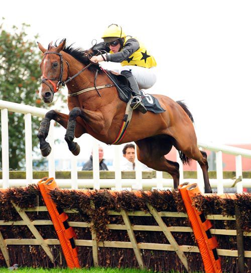 Passage Vendome puts in a massive jump at the last under Emmet Mullins
