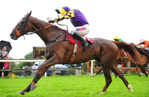 Uponthe Hoof is driven out by Barry Geraghty