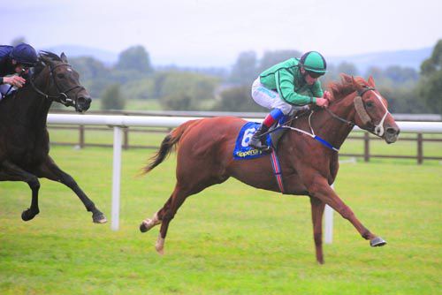 Irish Reel makes all under Chris Hayes to take the last at Tipperary