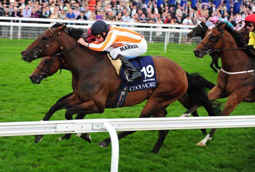 Ortensia seen here winning at York