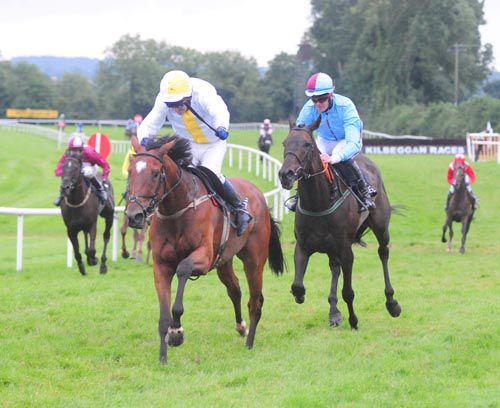 Moorhill Lad wins at Kilbeggan from The Buddy Pass