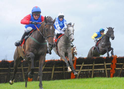 Ted Dolly leads the field away from the last from the grey Pique Sous in second & Ginger Genie in third