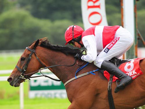 It all seems so easy for Barry Geraghty and  Face Facts as they pass the line!