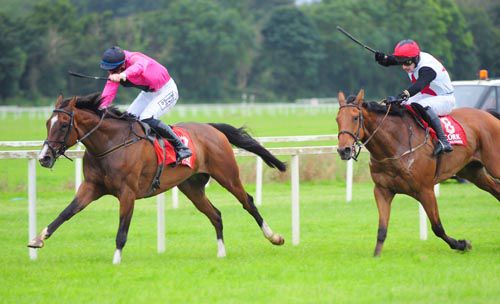 Truckin All Night stays on best under Robbie McNamara to beat Relic Rock in second