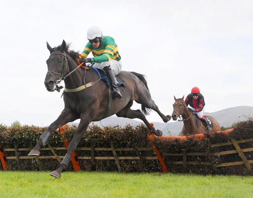 Bob Lingo clears the last with King Ali in second