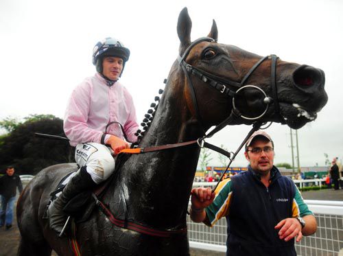 Sir Ector is led back into the parade ring under Robbie Colgan