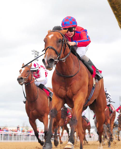 Timeless Call and Ronan Whelan on their way to victory