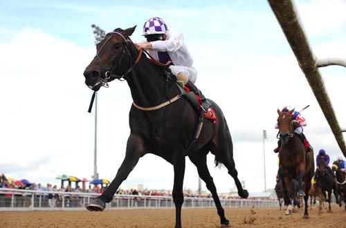 Rigoletta is clear of her rivals as she approaches the line under Kevin Manning