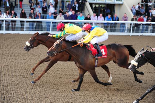 Toufan Express (noseband) is too good for Cash Or Casualty