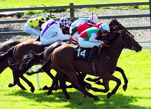 Diamond Pro (nearside) gets up for Ben Curtis in a tight finish