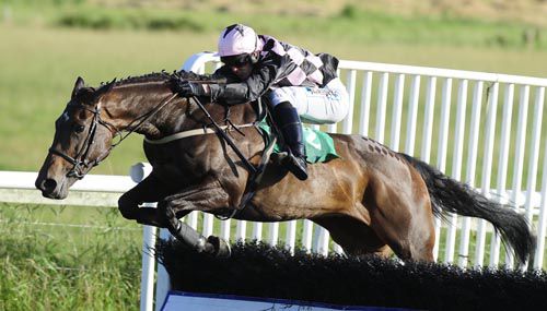 Bobbina clears the last on her way to victory under Andrew McNamara 