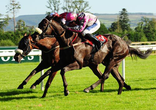 Arbitrageur (nearside) with Andrew Thornton up, just beats Fastidious
