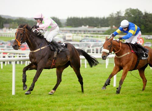 Sicilain Secret beats Total Excitement at Kilbeggan