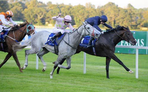 The 1,2,3 in the last at Leopardstown, I Have A Dream, Call Me Bubbles and Strandfield Lady