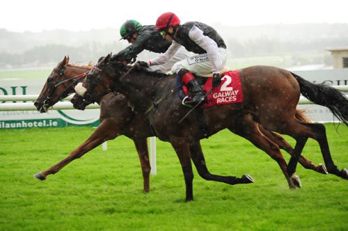 Wholelotofrosie holds on from Cocktail Hour at Galway