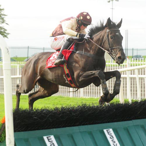 Missunited and Bryan Cooper in action at Galway