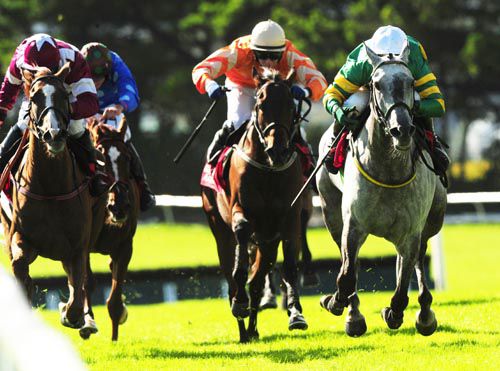Silverhand (grey) quickens up best on the run-in at Galway