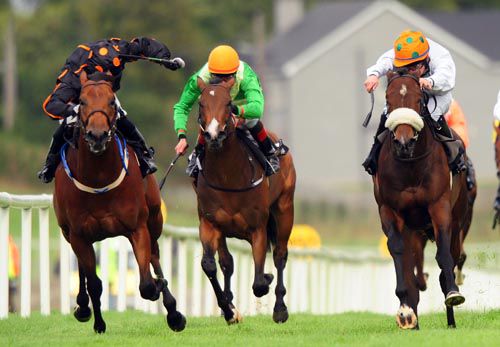 Quinine (right) gets up to beat Abstraction (black/orange)