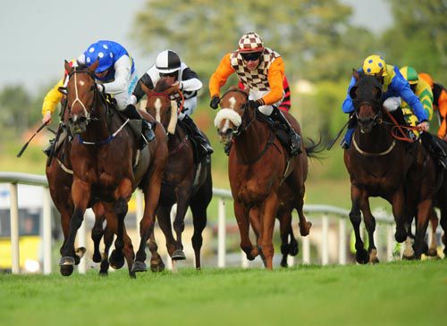 Elusive Express (left) keeps on best for Chris Hayes