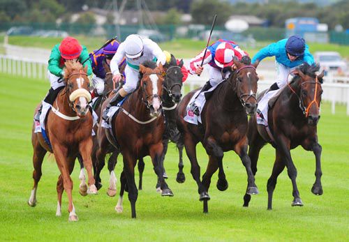 Royal Diamond (1/4d cap) just beats Massiyn (left), Aiken (white) and Brown Panther (right)
