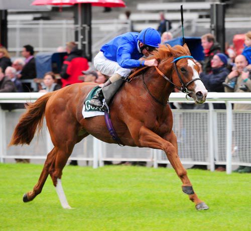 Dawn Approach strides on to victory at the Curragh