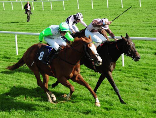 Jappeli & Ross Coakley (nearest) just get up to beat Kanes Pass 