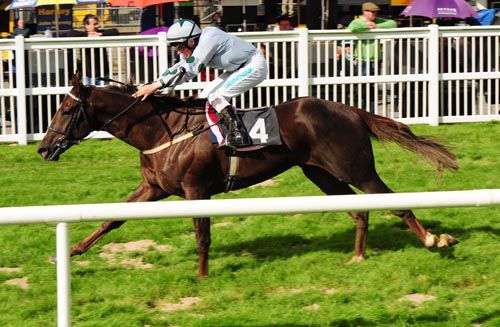 Job done for Flameseeker & Chris Hayes at Listowel