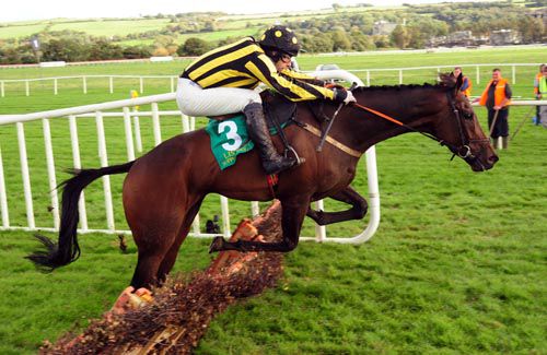 Burrenbridge Lodge got the last wrong but it didn't matter at Listowel