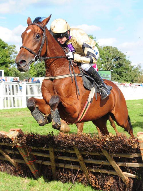 Drive Time jumps the last on his way to victory under Ruby Walsh