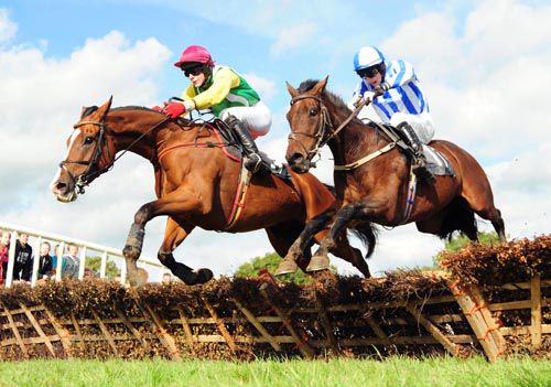 Fair Dilemma (left) jumps the last alongside Marshim