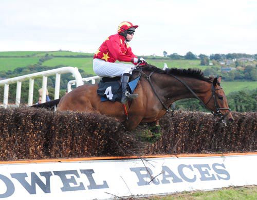 Miradane survives this last fence blunder to take the last under Martin Ferris