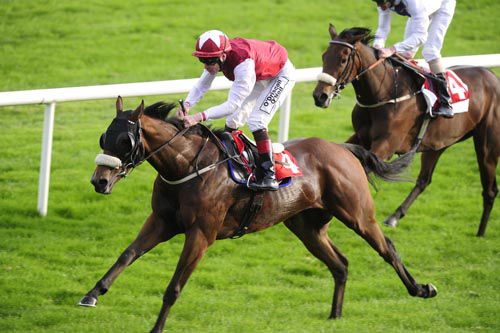 Fastidious and Pat Smullen make all at Gowran Park