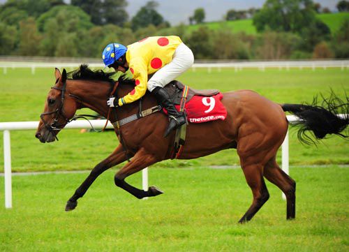 Decade Player and Andrew Ring at Ballinrobe