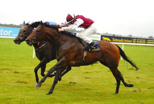 Three Sea Captains, near side, gets up to win at Fairyhouse