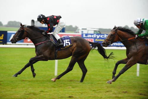 One Cool Shabra hugs the rail at Fairyhouse
