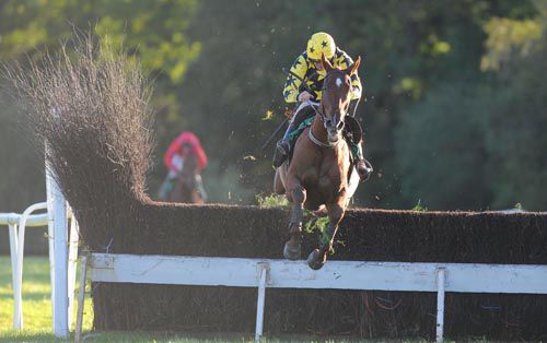 Bundle Of Fun & Ruby Walsh were about the only bright spot for punters at Downpatrick