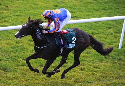 Battle Of Marengo & Joseph O'Brien come home the winners at the Curragh